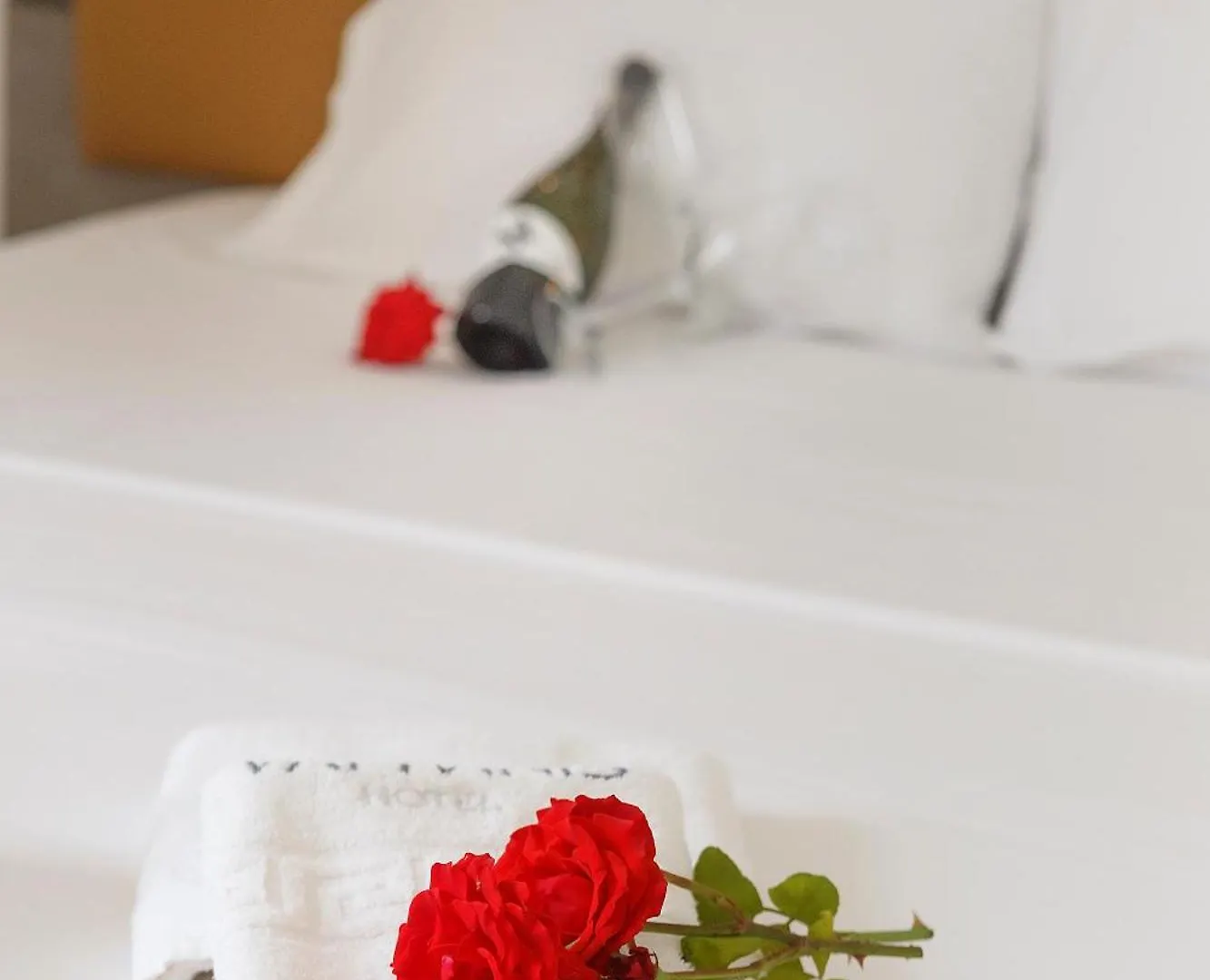 Ξενοδοχείο με διαμερίσματα Vamvini Hotel Σάρτη Ελλάδα