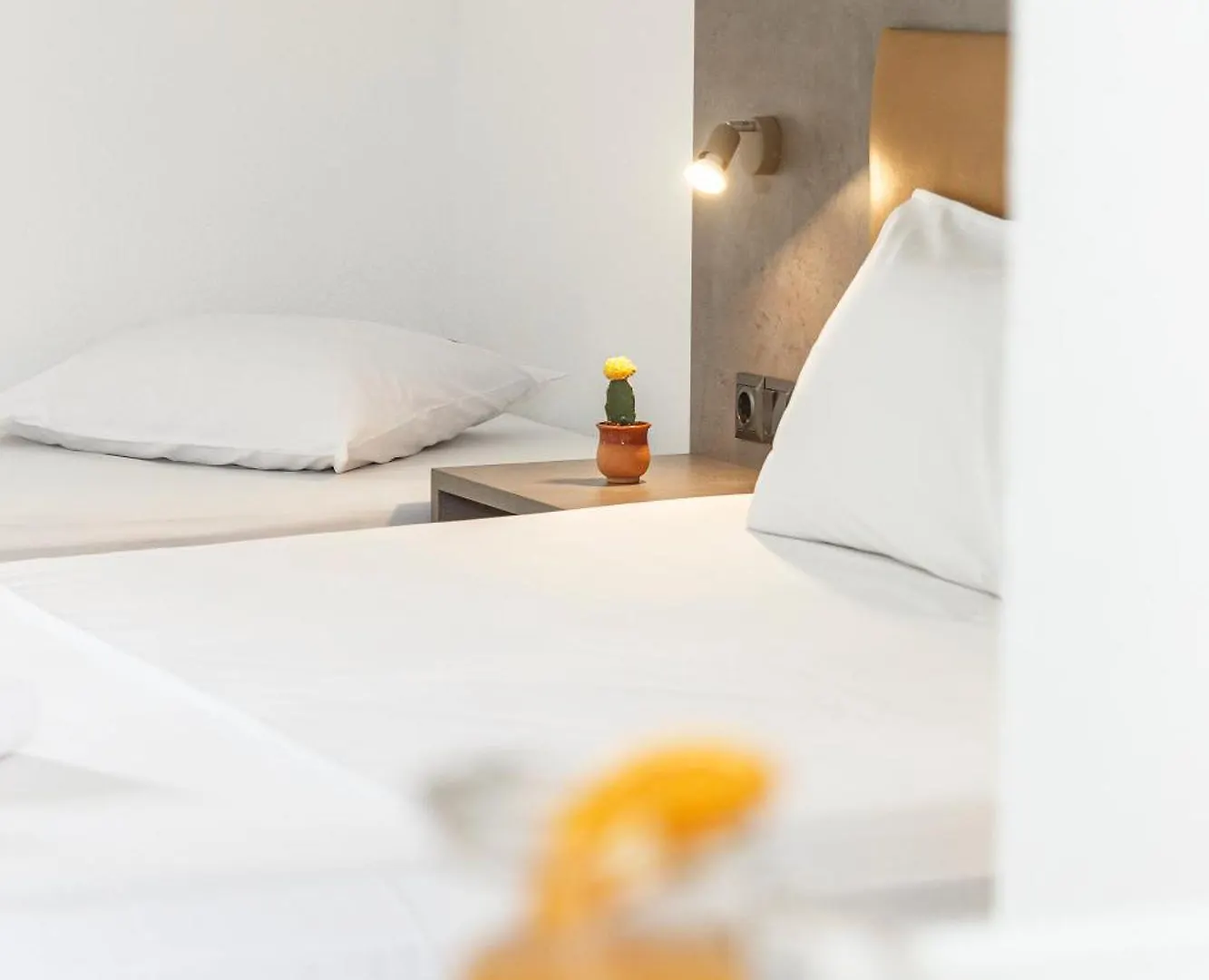Vamvini Hotel Sarti